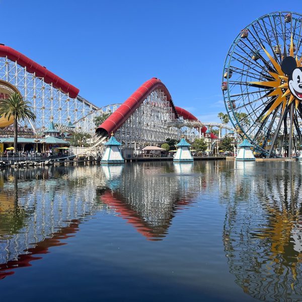 disneyland crowds