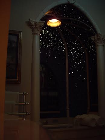 disneyland dream suite bathroom ceiling