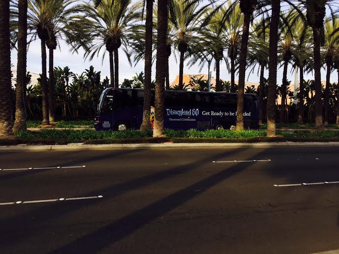 disneyland express shuttle