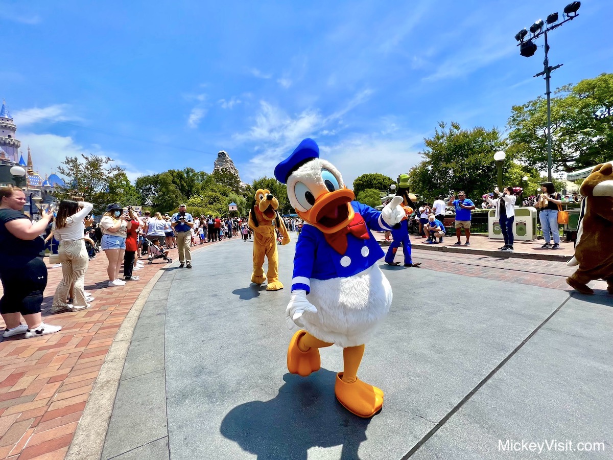 Disneyland Donald Duck