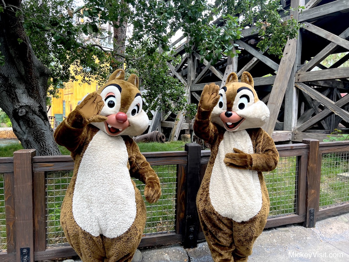 Disneyland characters Chip and Dale