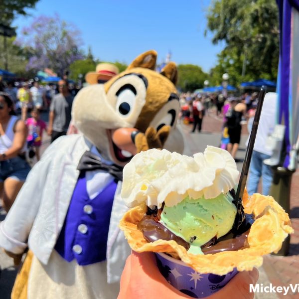 Disneyland ice cream