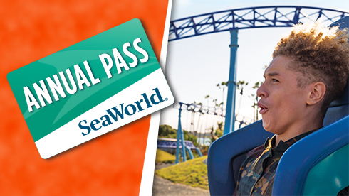 SeaWorld San Diego Discount Tickets: Picture of annual pass card next to roller coaster