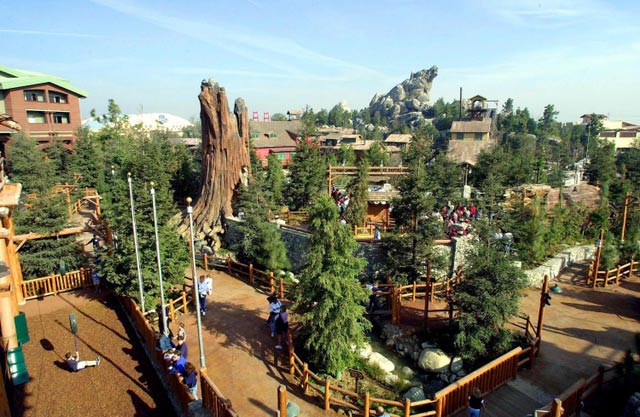 Redwood Creek Challenge Trail shot from above