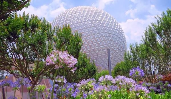 Epcot in front of flowers
