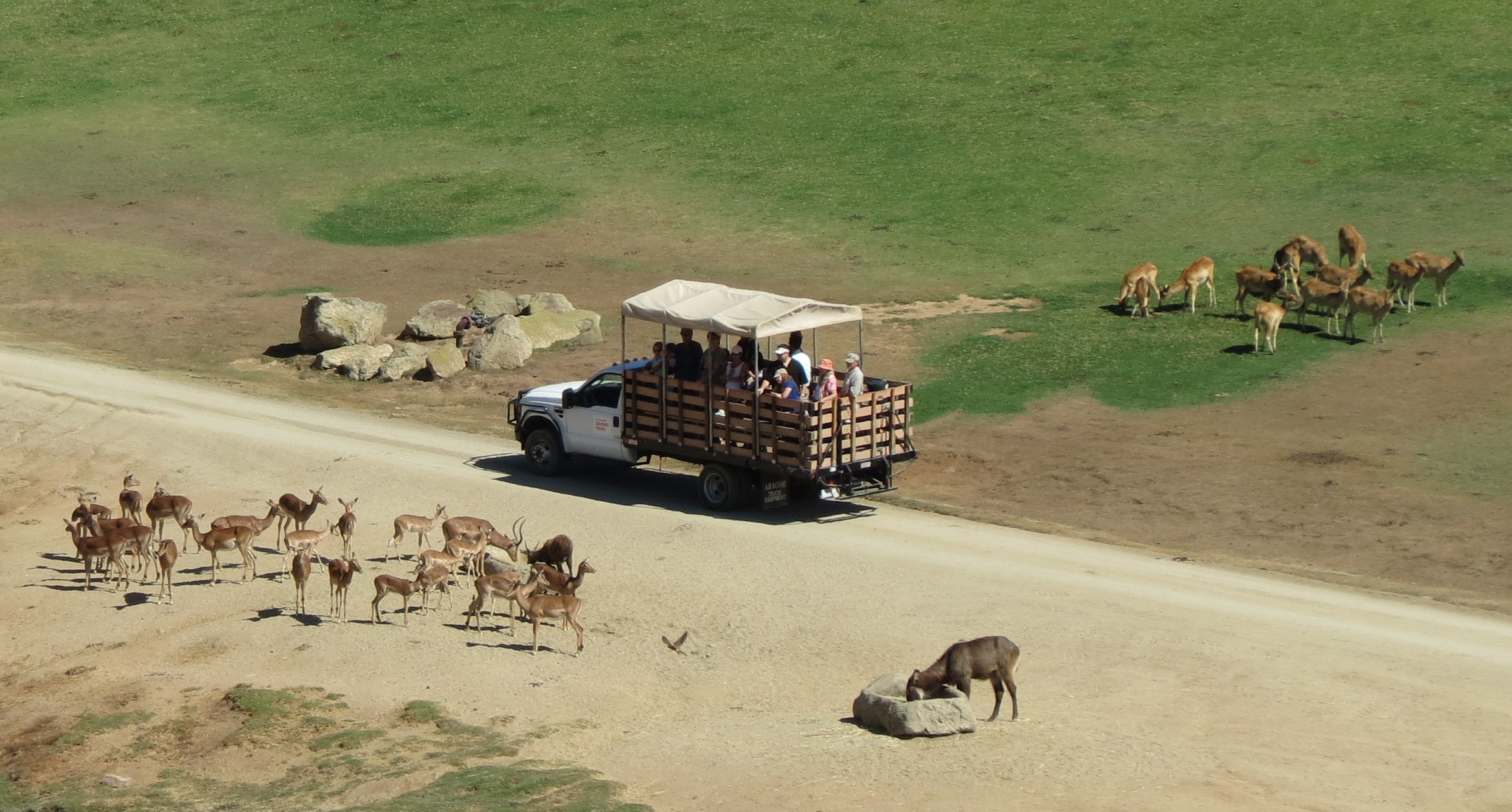 how big is safari park san diego