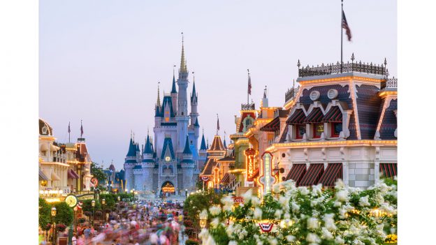 Magic Kingdom flower shot in front of Cinderella Castle