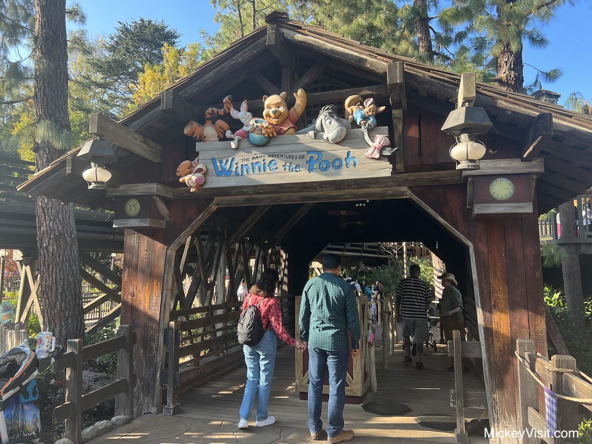 Winnie the Pooh Disneyland