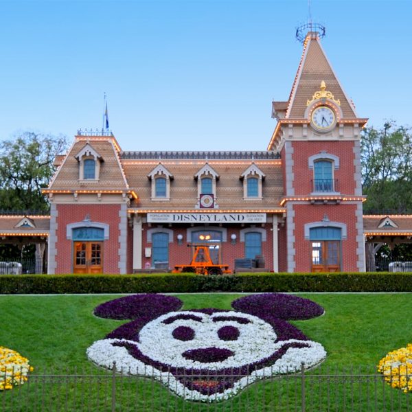 Disneyland in June