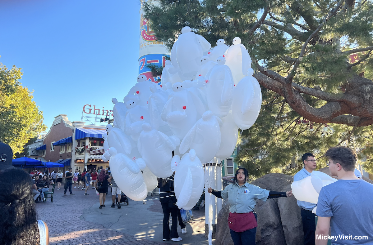 Disneyland on a budget balloons