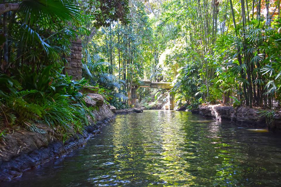 Jungle Cruise river