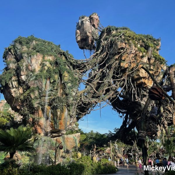 Pandora at Animal kingdom