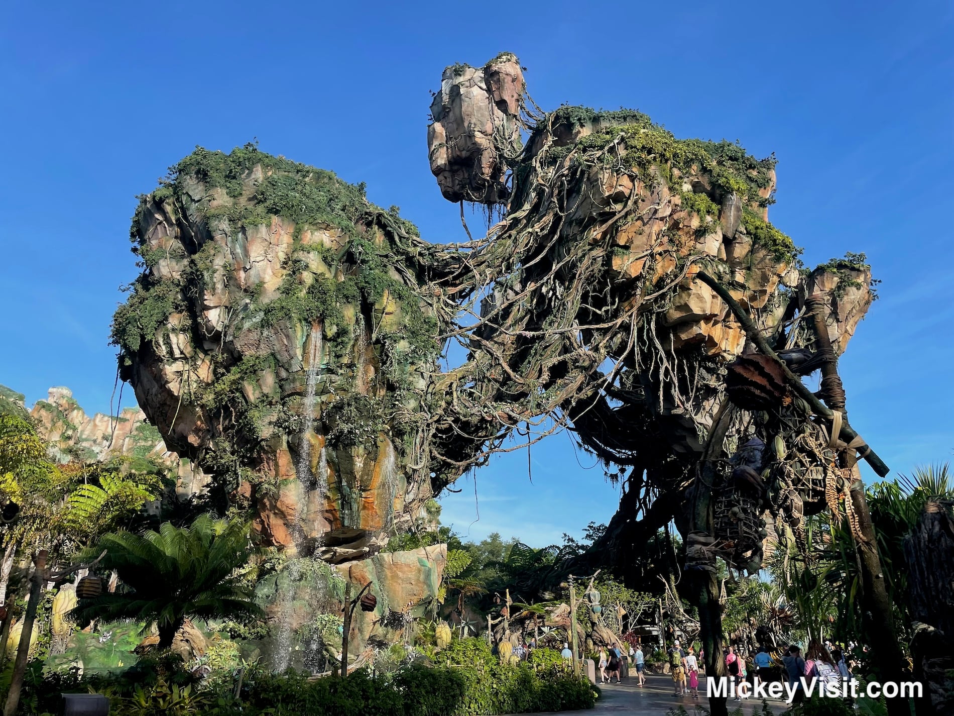 Pandora at Animal kingdom