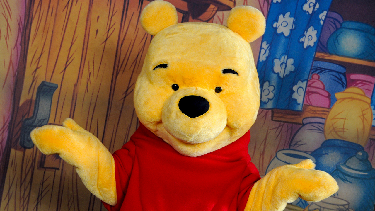 Pooh-Size Guests at Disneyland- Ultimate Guide for Plus Sized Visitors