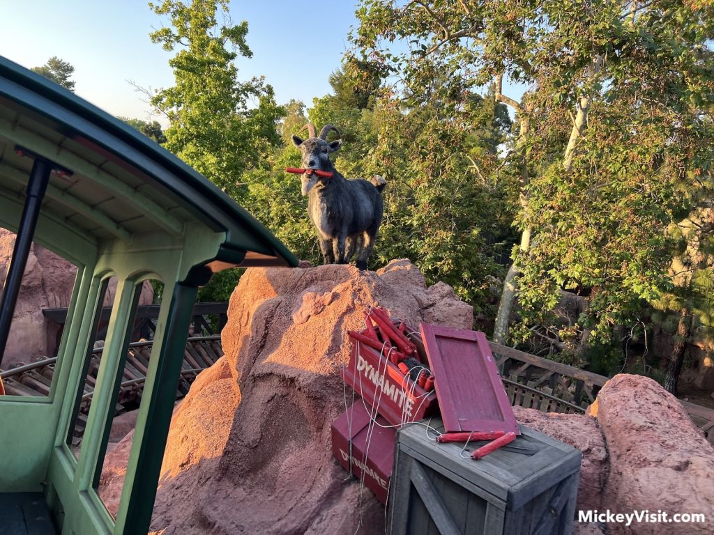 Big Thunder Mountain Railroad goat