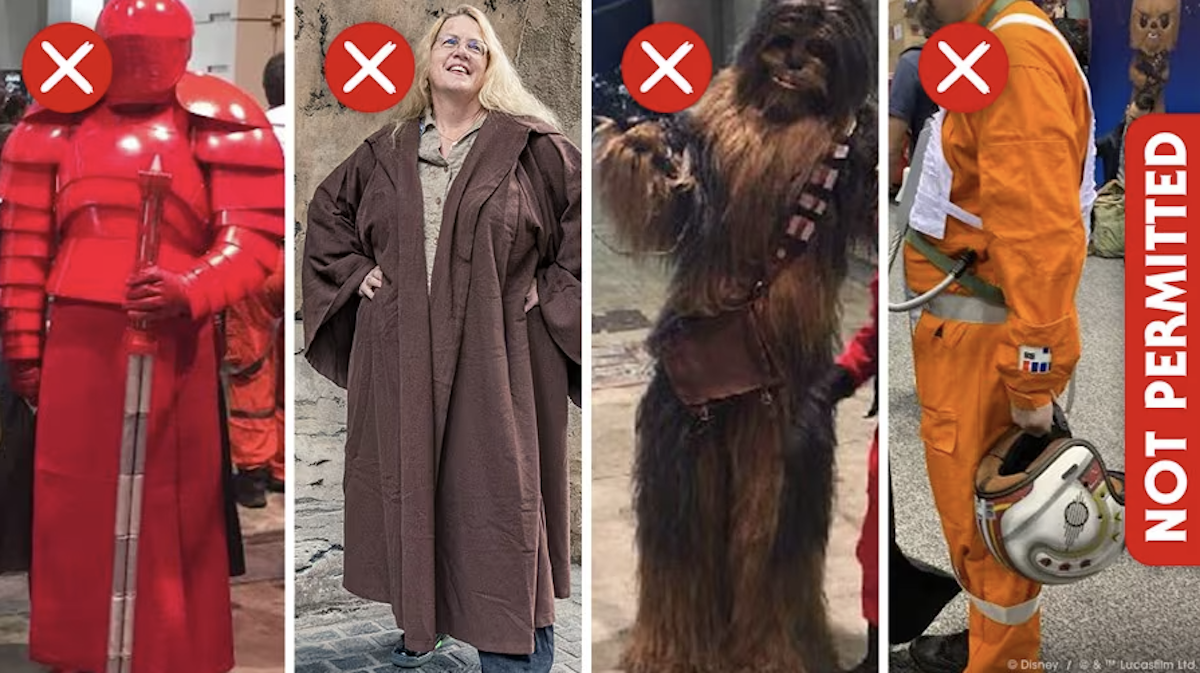 examples of Disney costumes not allowed 