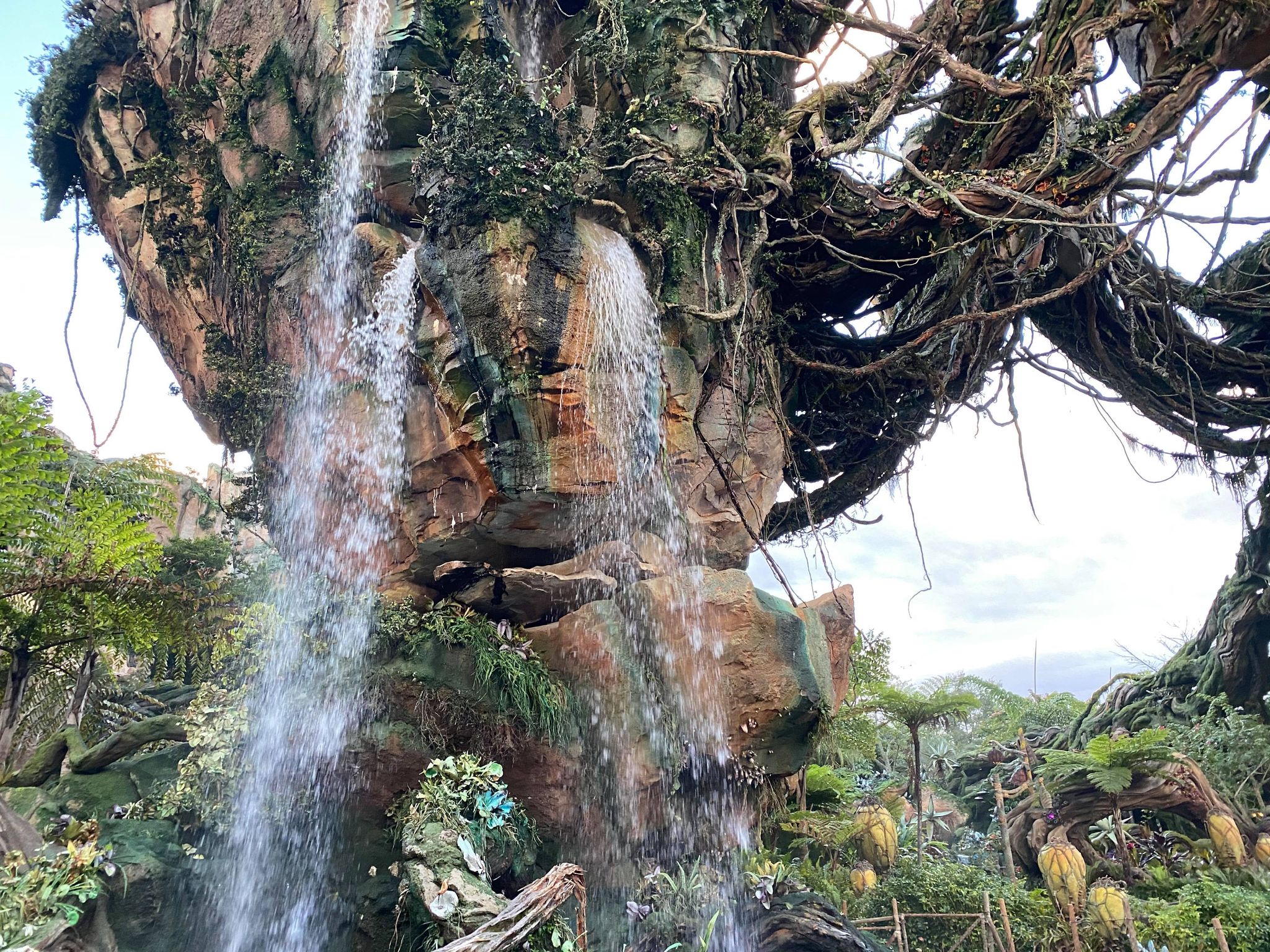 Pandora waterfall- Disney World Park strategy