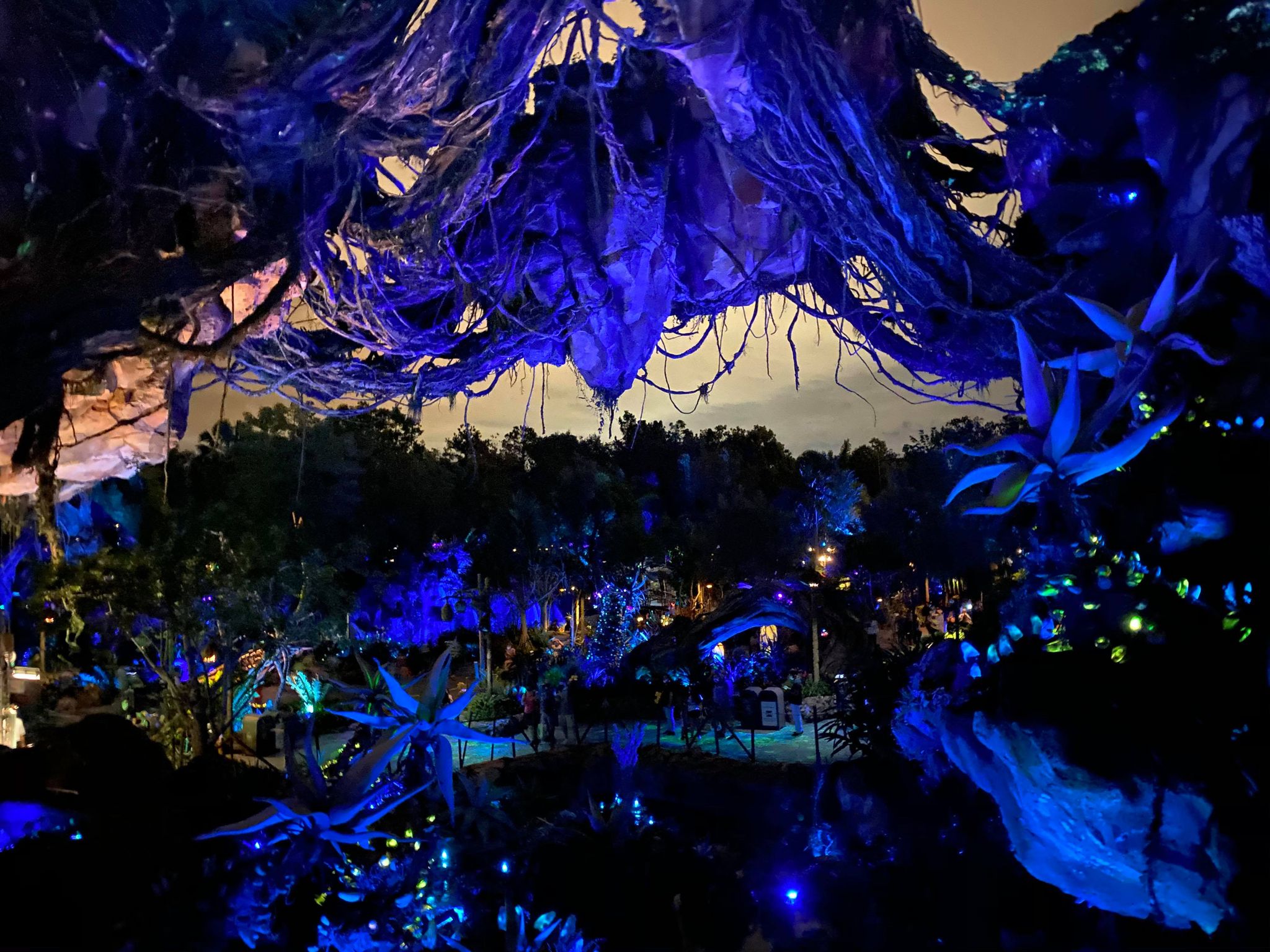 Pandora at night- Disney World Park strategy