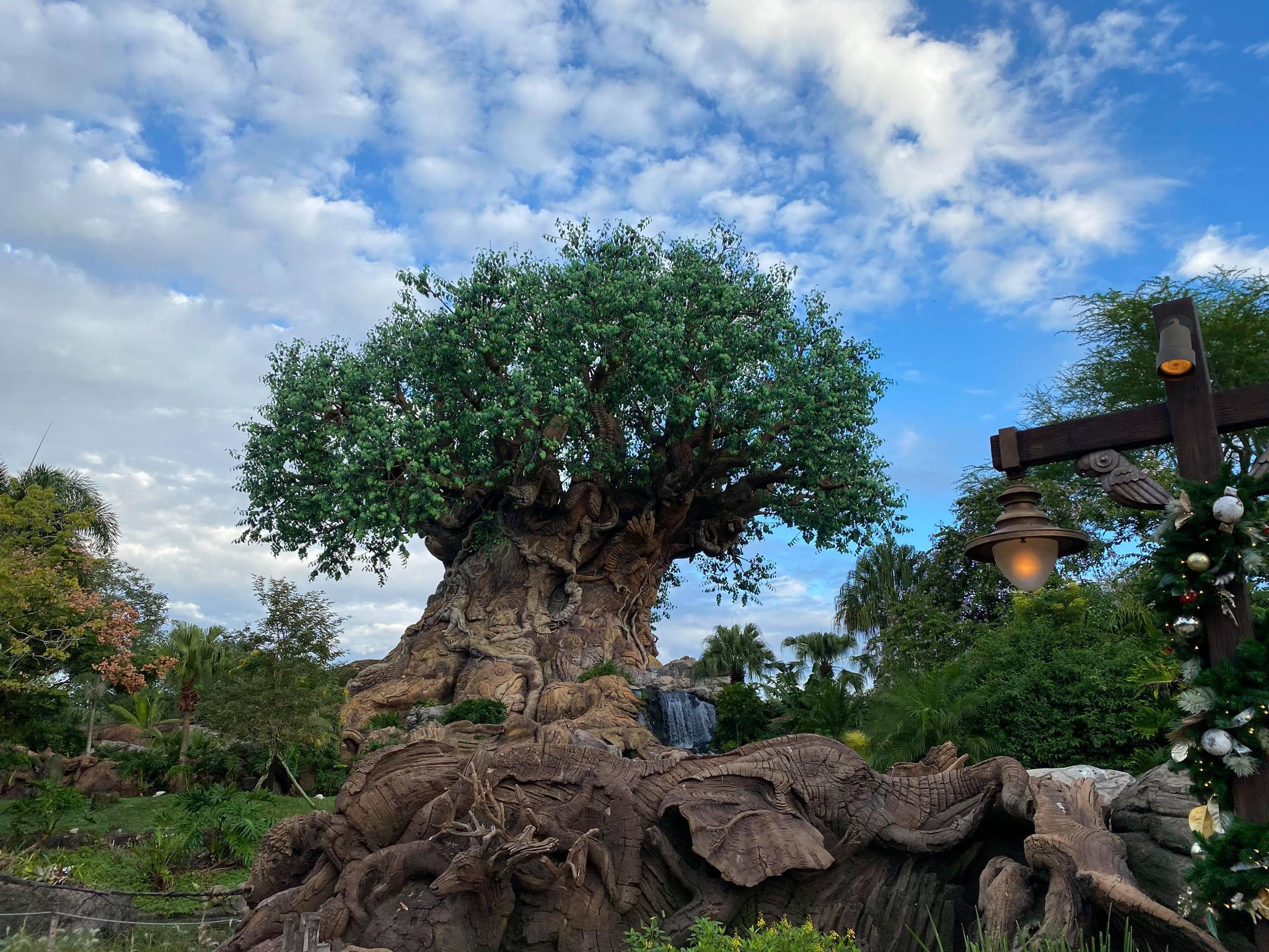 Tree of Life- Disney World Park strategy