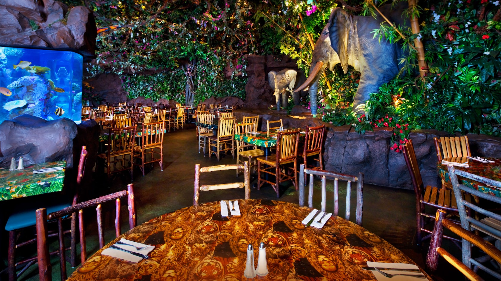 Rainforest Café Dining Review- Enjoy Themed Dining Kids Will Love in Animal  Kingdom and Disney Springs