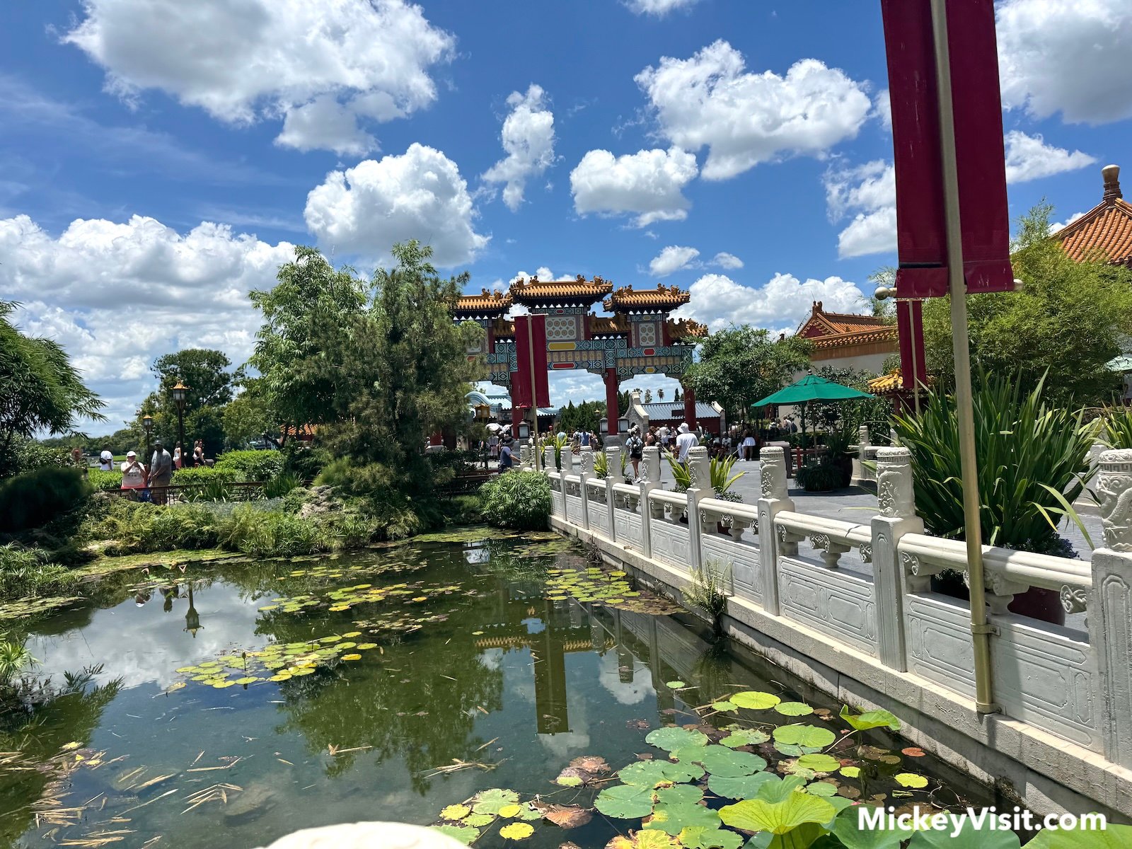 EPCOT water lilies