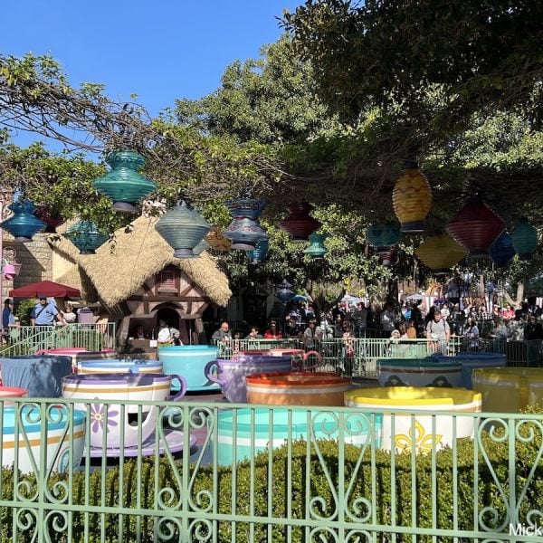 Disneyland rides ranked Mad Tea Party