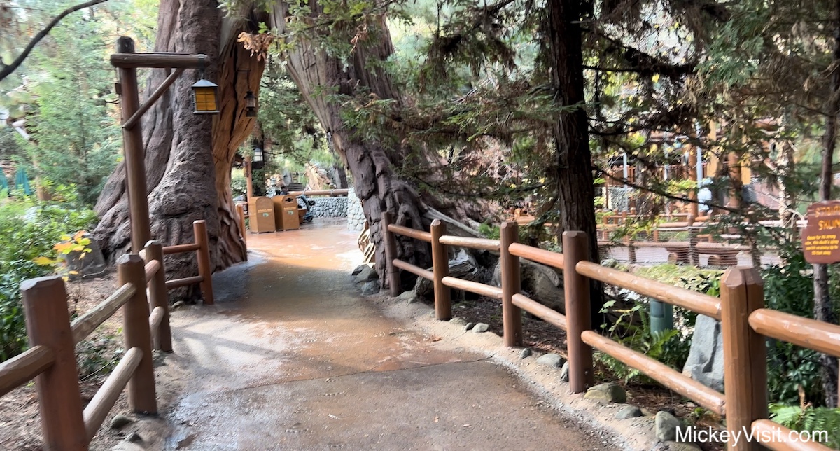 Redwood Creek Challenge Trail Disney California Adventure