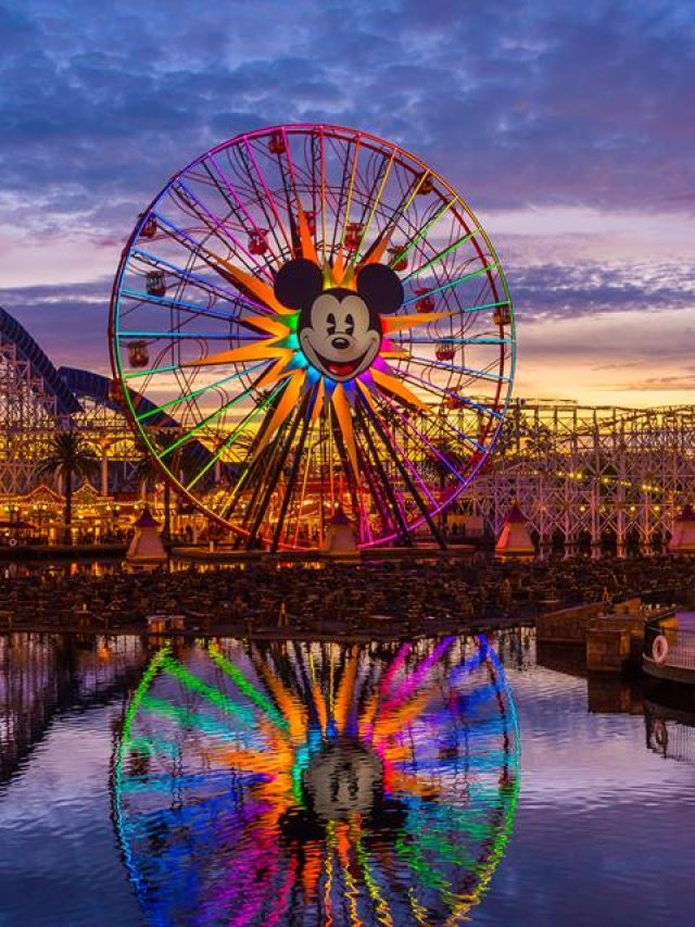 what-to-pack-for-your-disneyland-trip-mickey-visit-disney-news