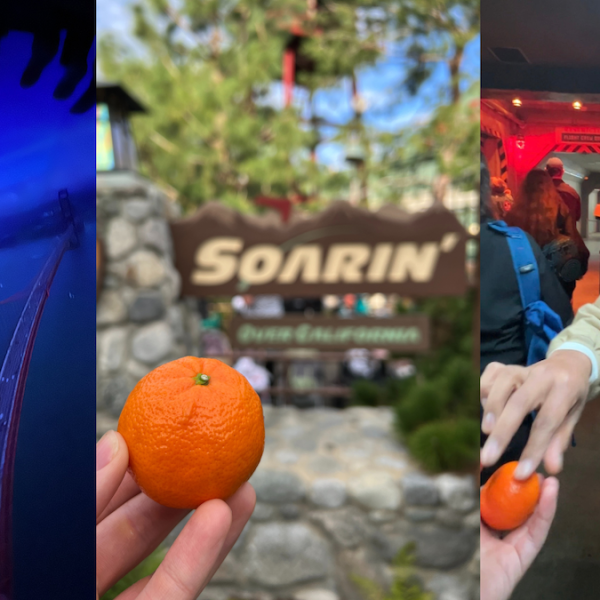 disneyland soarin over california cast member and sign