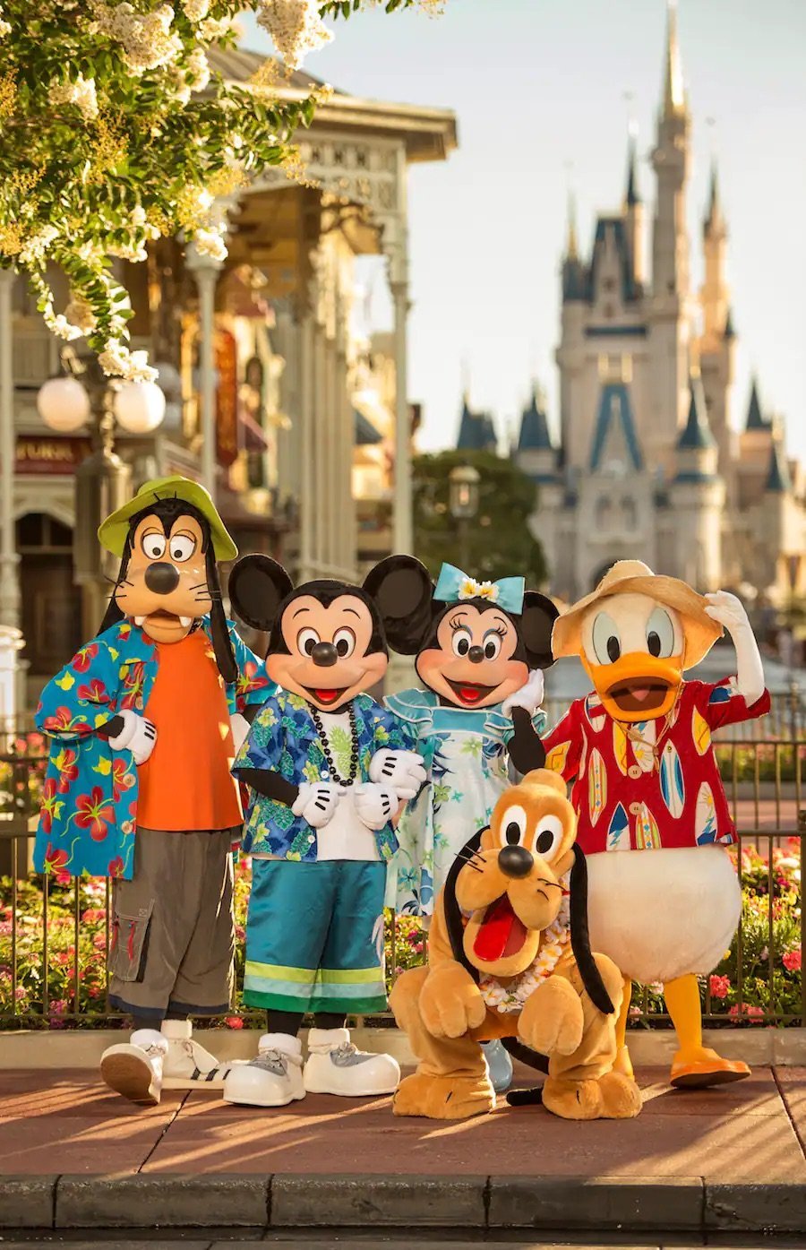 Cheapest Time to Visit WDW