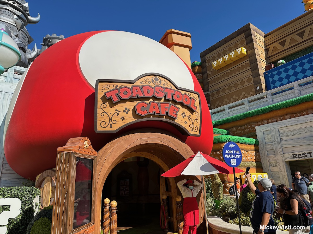 Toadstool Cafe Review