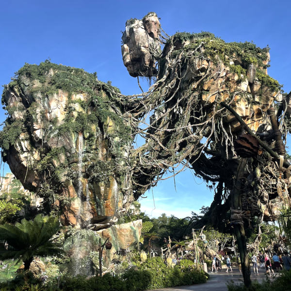 Animal Kingdom Hours