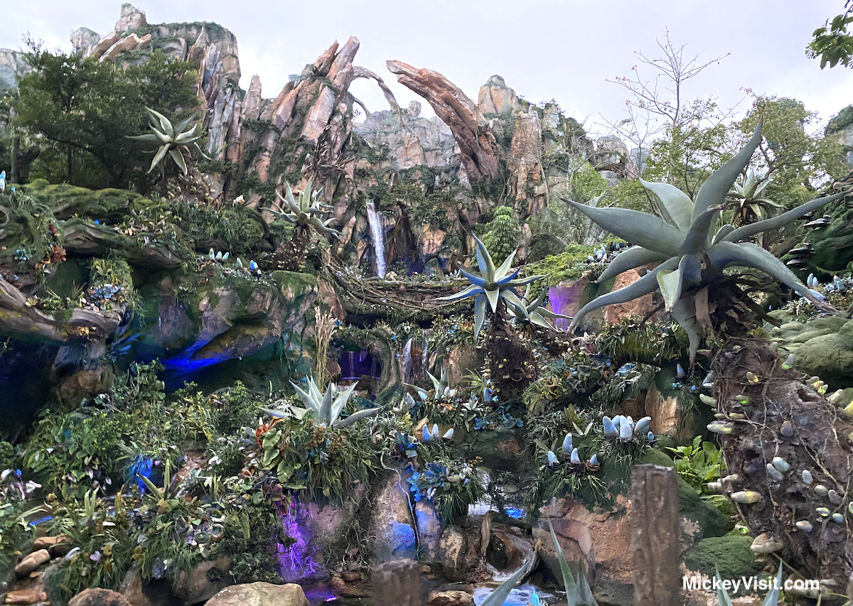 Avatar Disneyland Experience