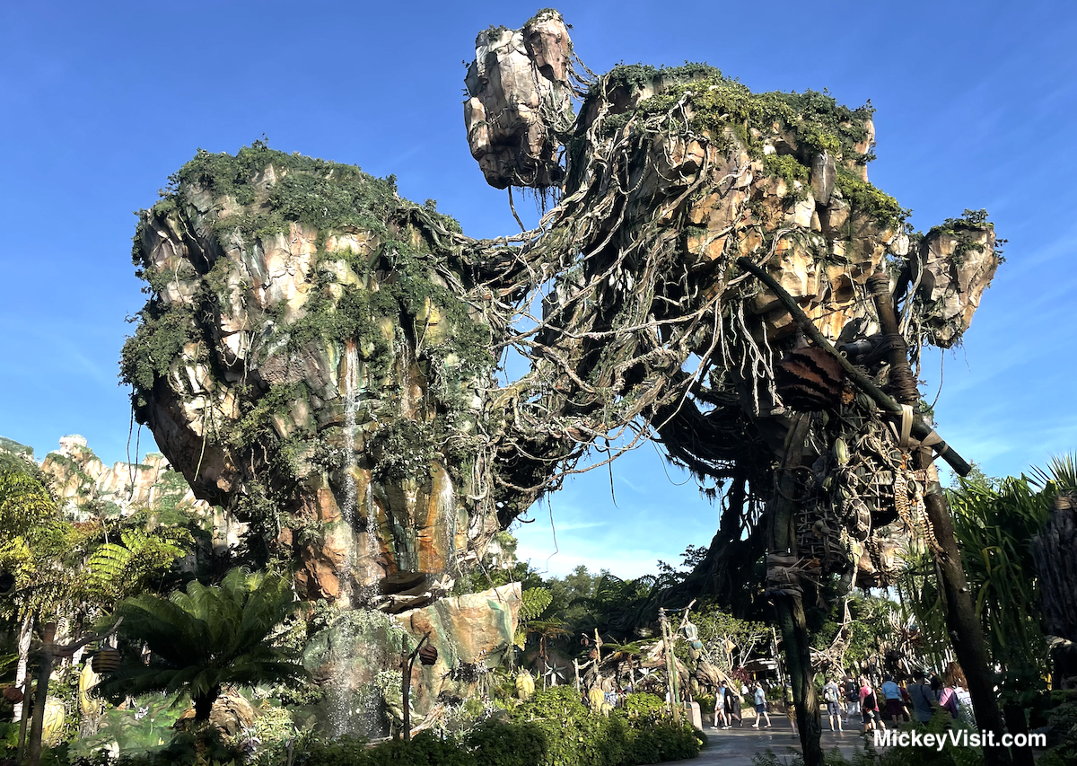 Avatar Experience Disneyland