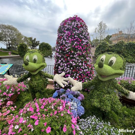 flower and garden festival at epcot mickey and minnie topiary