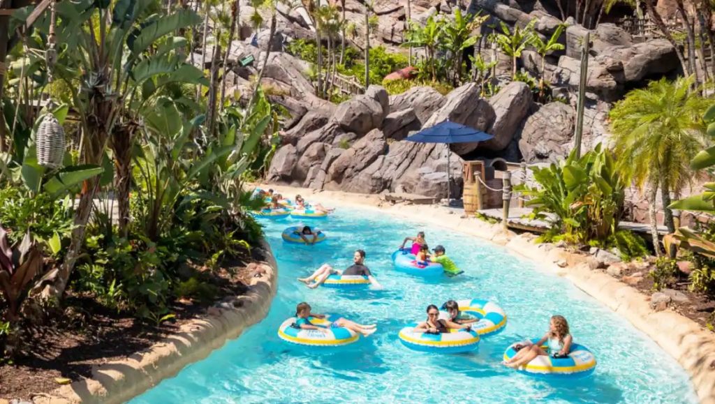 DVC Rental Store vs Davids Rentals: Which is Best DVC Rentals?