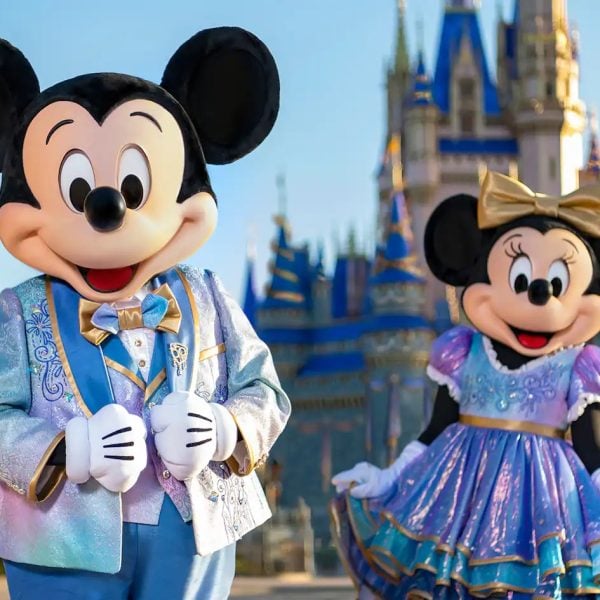 DVC Rental Store vs Davids - Mickey Minnie