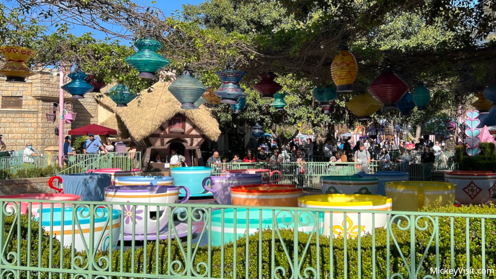 Teacups in summer at Disneyland