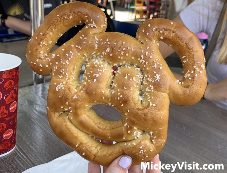 Can You Bring Outside Food Into Disney World