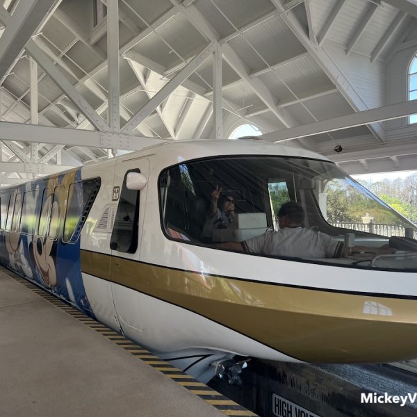 DeSantis vs Disney monorail