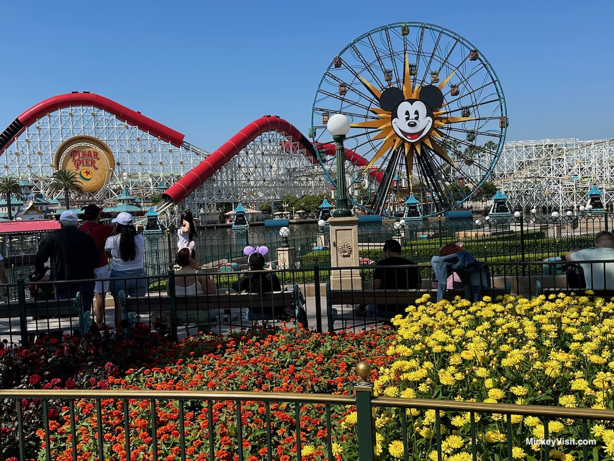 Disney parks Ranked