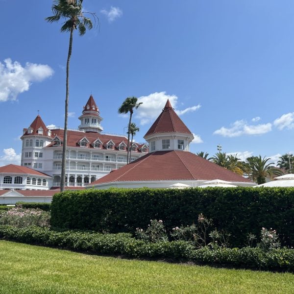Disney World Adults - GF