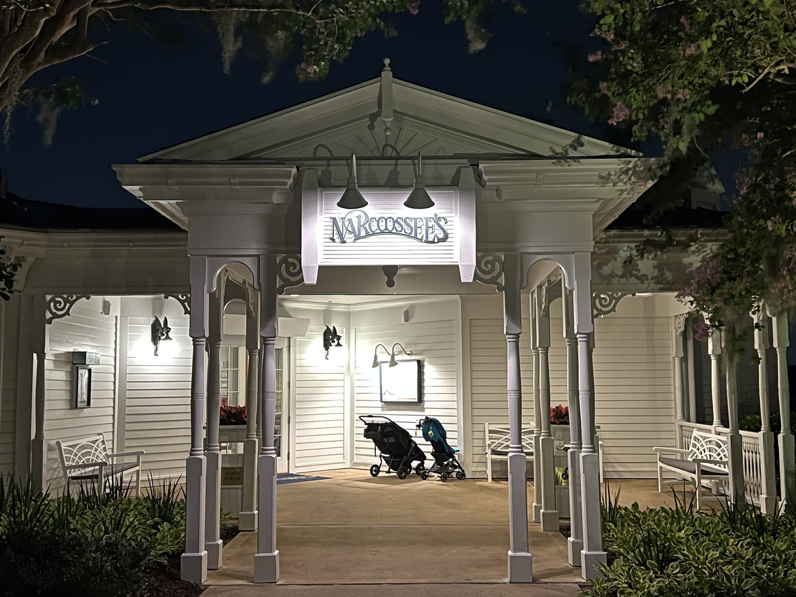Disney World Adults - narcoossee's