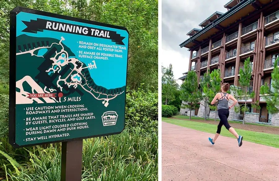 Disney World Adults - trail