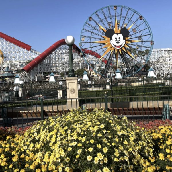 disney california adventure pixar pier