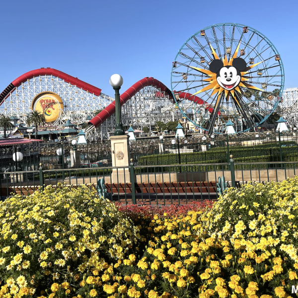 California Adventure
