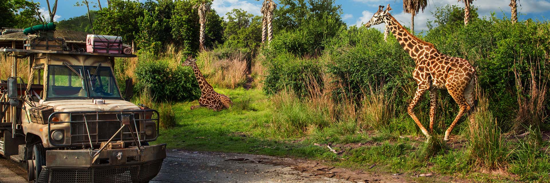 Best Animal Kingdom Rides - kilimanjaro safari