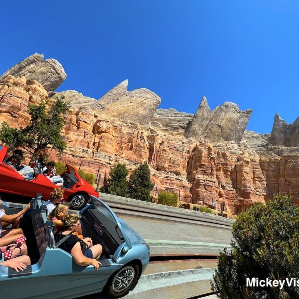 Radiator Springs Racers