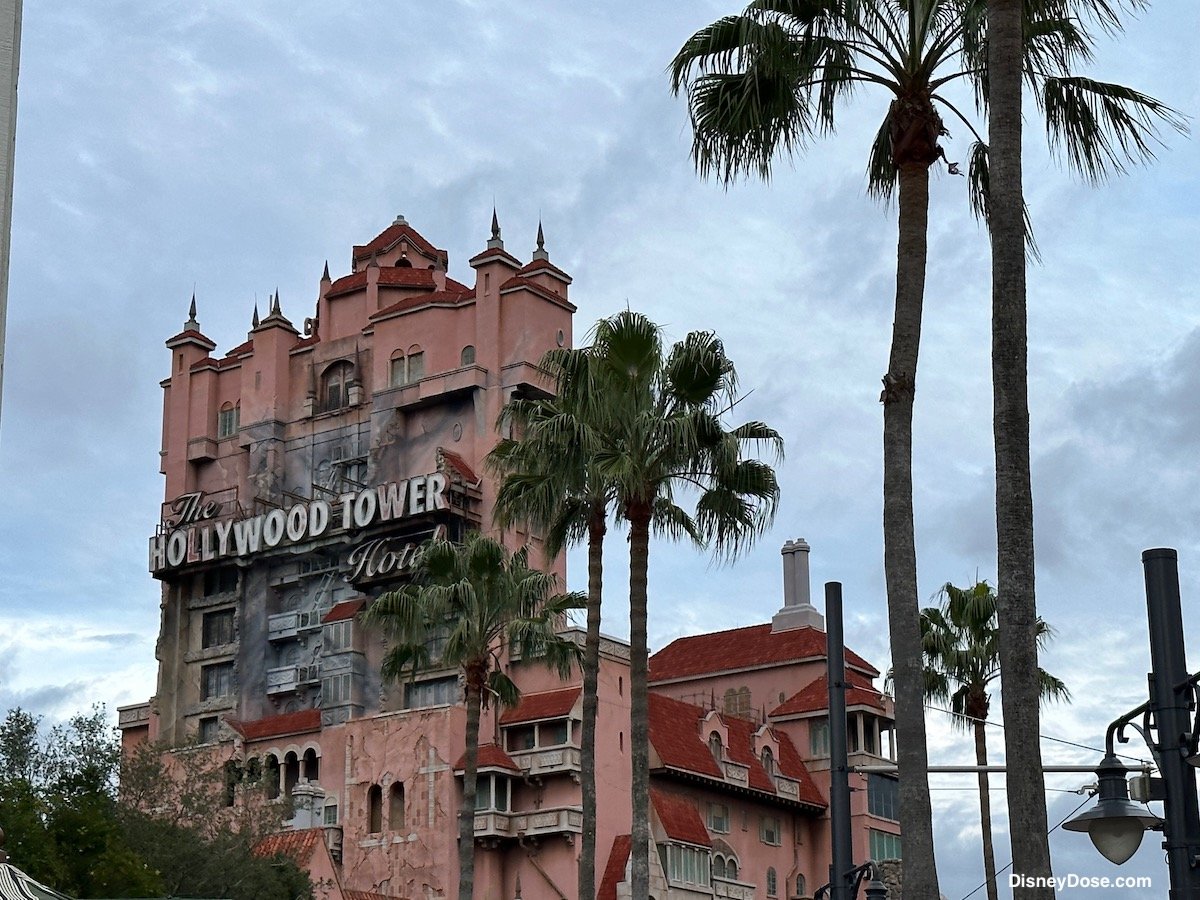 Best Things to do Disney World