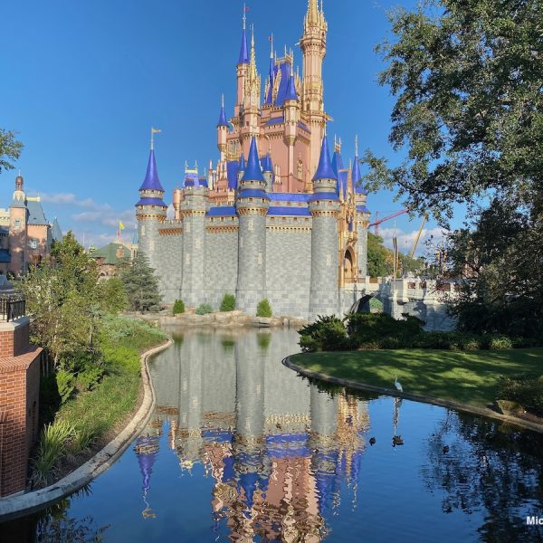 Fuelrods at Disney World- Cinderella Castle